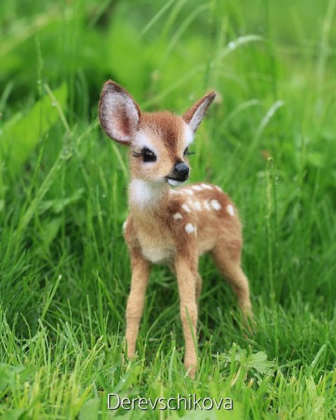 Олень олениха Олененок Оленята