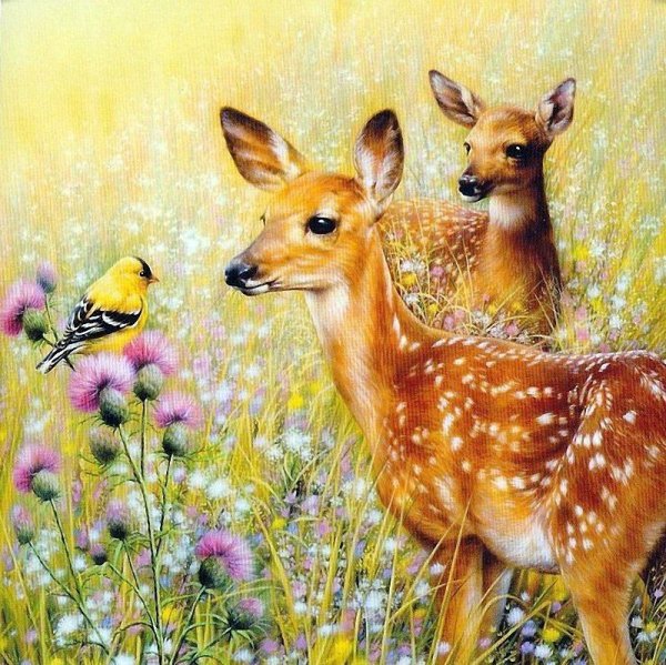 Оленята пятнистые купить