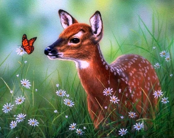 Милые животные