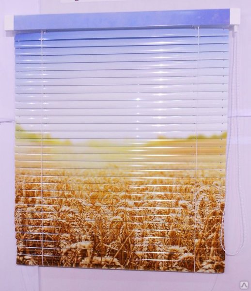 Жалюзи на окна