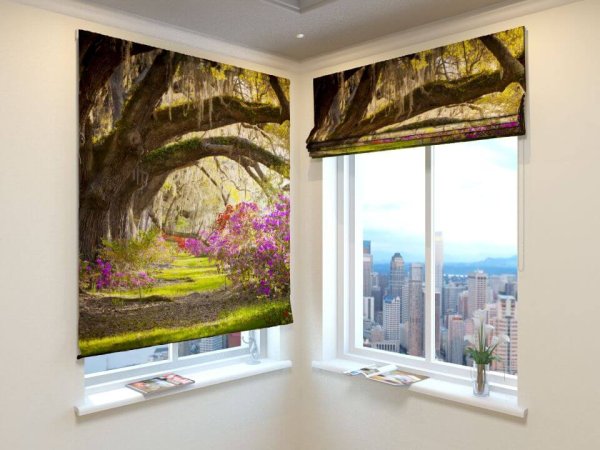Рулонные шторы с фотопечатью