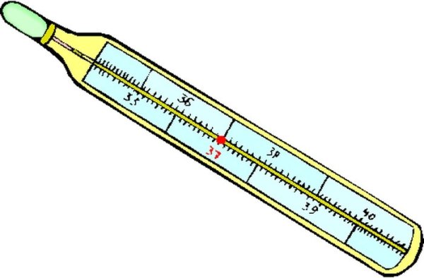 Mercury Thermometer