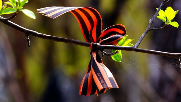 Георгиевская лента