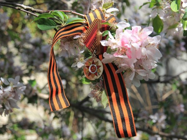 Цветы Победы