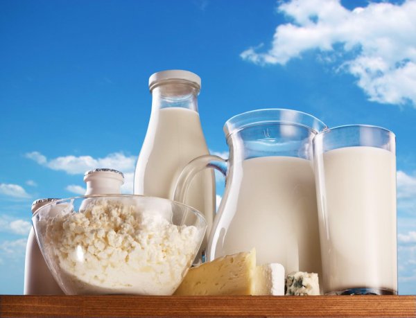 Молочные продукты на фоне гор