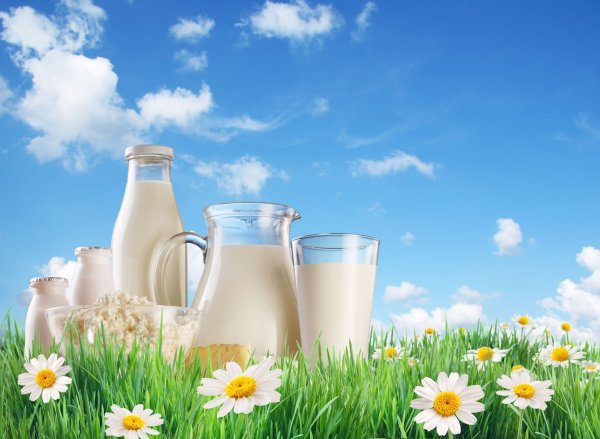 Молочная продукция