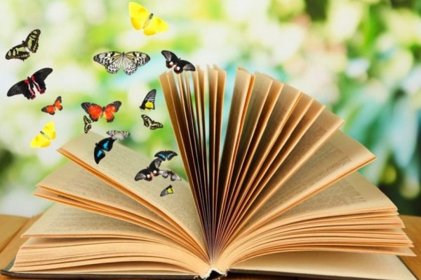 Красивые книги
