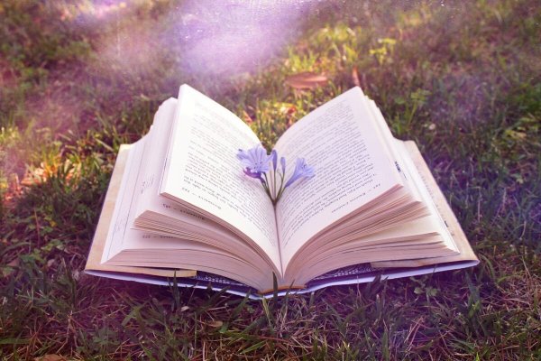 Красивые книжки