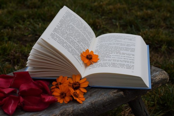Раскрытая книга