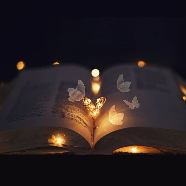 Раскрытая книга