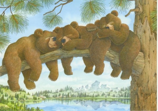 Русские народные сказки три медведя