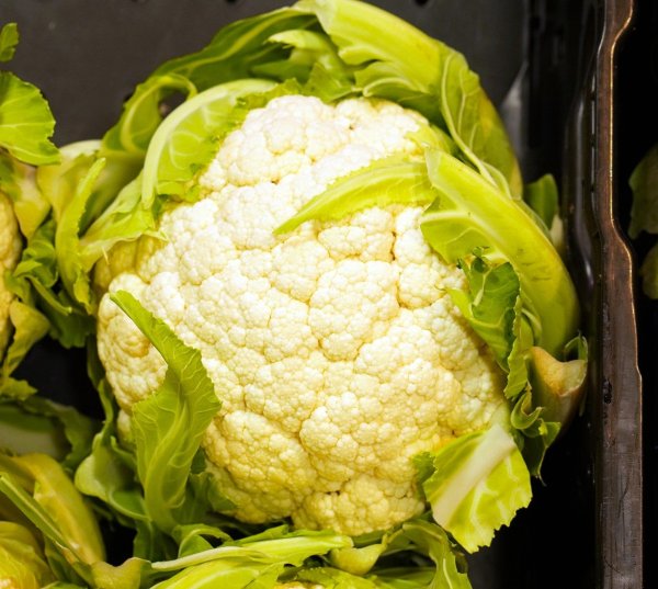 Капуста белокочанная кольраби брокколи