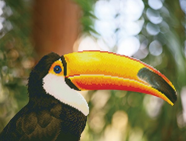 Королевский Тукан