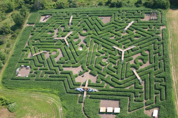 Лабиринт the Maze, 2010
