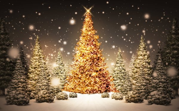 Селин Дион Magic of Christmas Day
