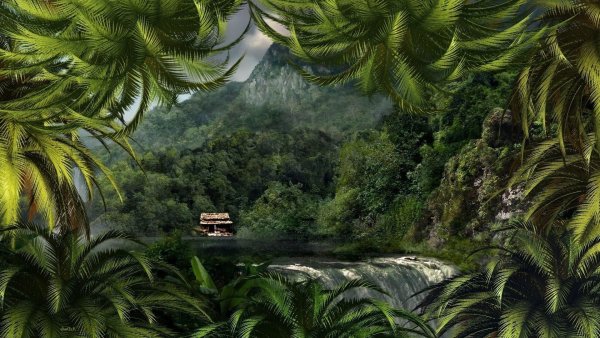 Картинки джунгли (36 фото)