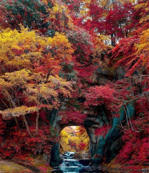 Красивая осень