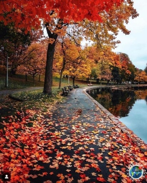 Природа осень