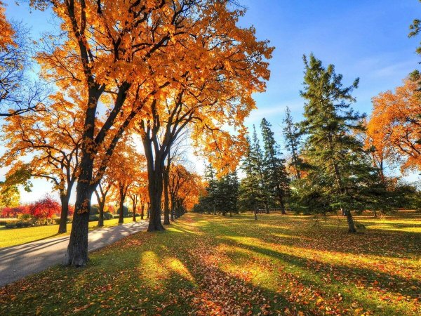 Ранняя осень