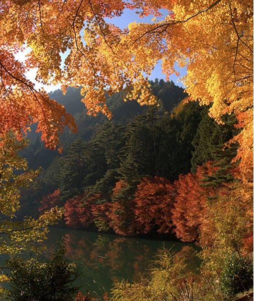 Природа осенью