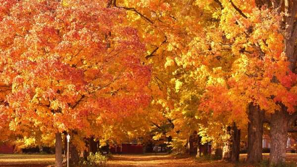 Осень фото на рабочий стол