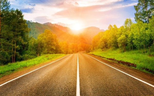 Природа дорога