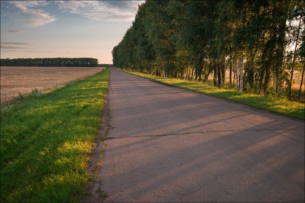 Красивая дорога