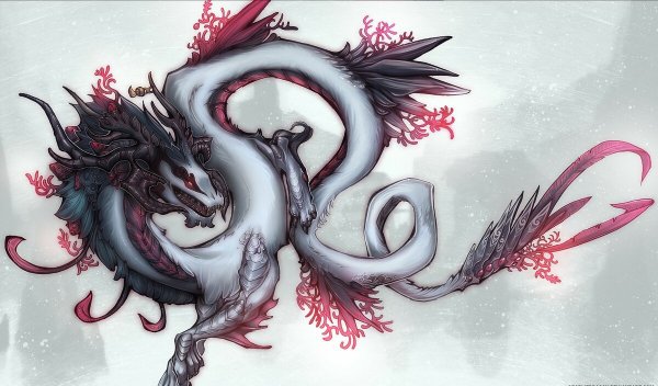 Сюаньлун черный дракон