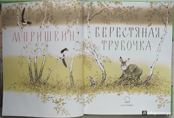 Михаил пришвин берестяная трубочка иллюстрация