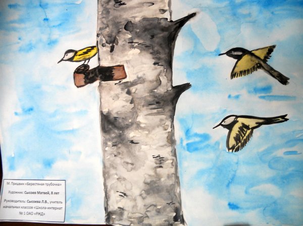 Пришвин берестяная трубочка иллюстрации