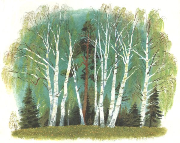 Рассказ берестяная трубочка пришвин