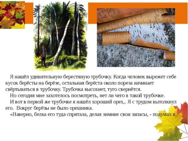 Пришвин берестяная трубочка иллюстрации