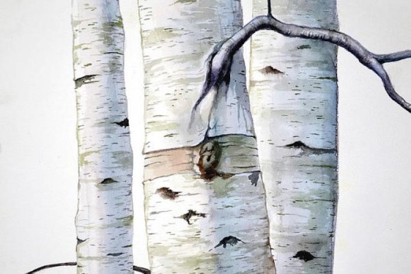 М пришвин берестяная трубочка