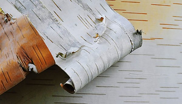 Берестяная трубочка