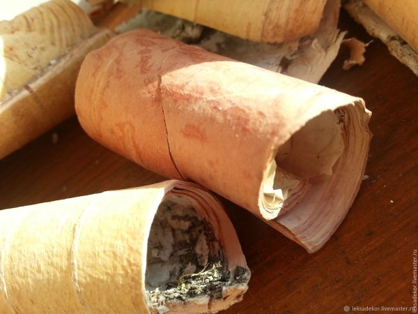 Свертки бересты