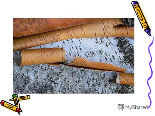 Инструменты для плетения из бересты