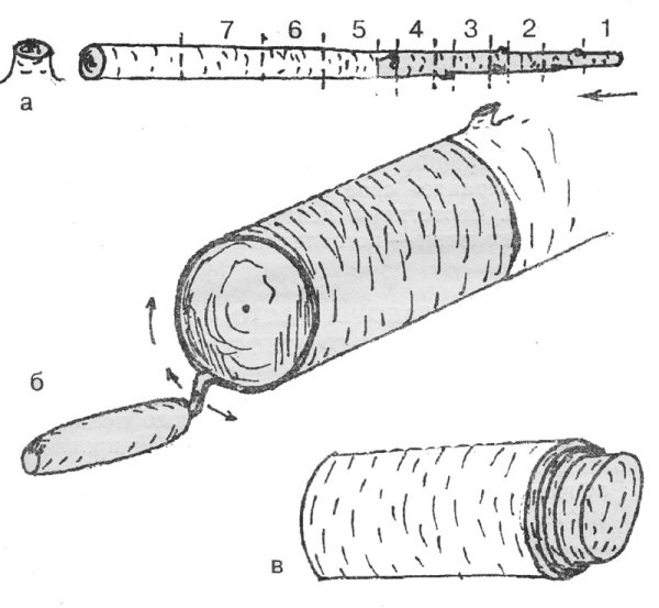 Заготовка коры