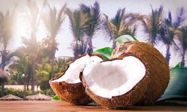 Красивый Кокос