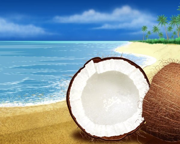 Картинки кокос (47 фото)