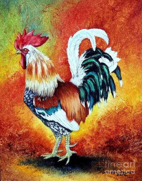 Окрас петуха рисованный