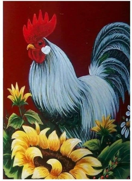 Петух рисунок