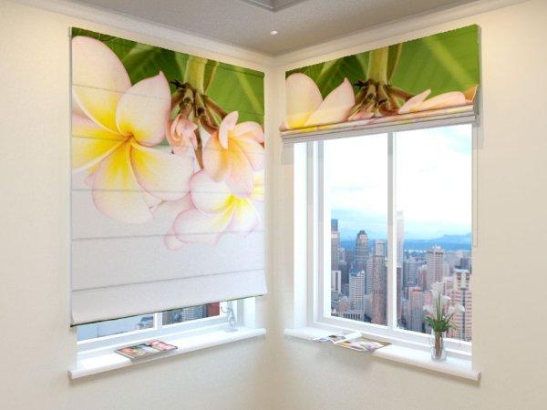 Рулонные шторы с фотопечатью