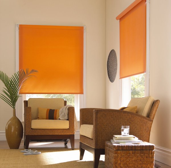 Рулонные шторы Эскар 68х170 см