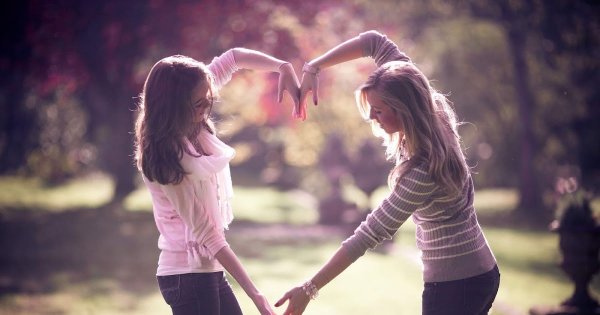 Бордер колли обнимаются