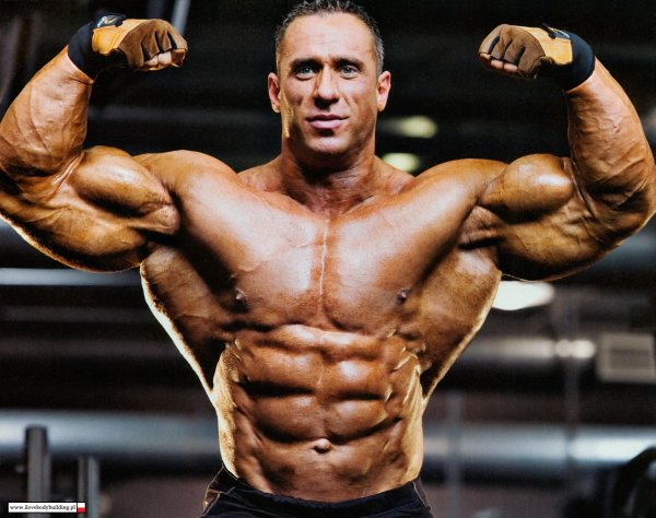 Качки бодибилдеры