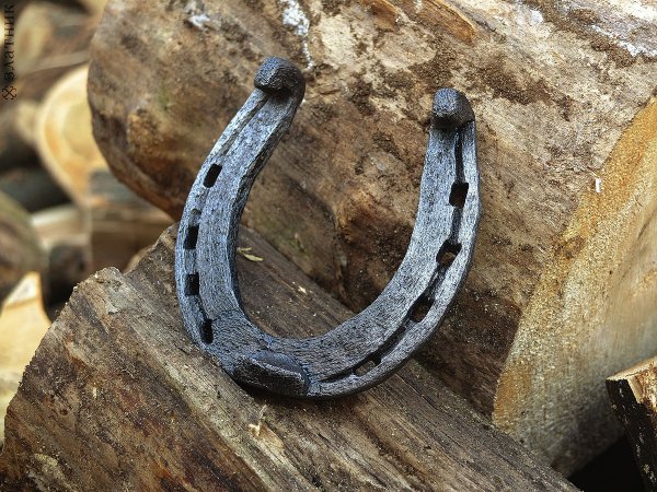 Подкова Гиппосандалии