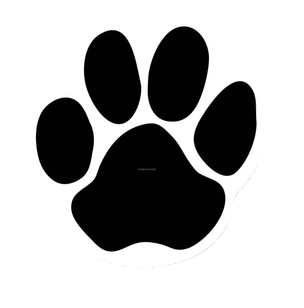 Логотип Paw
