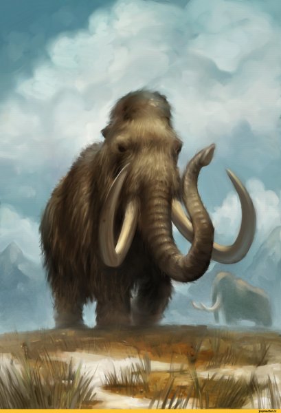 Шерстистый мамонт (Woolly Mammoth)