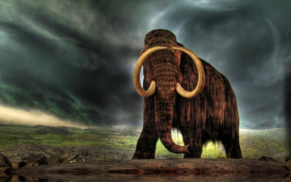 Mammoth Woolly Mammoth