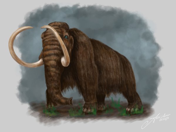Сибирский шерстистый мамонт